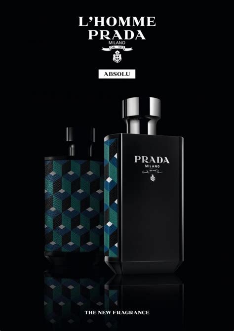 prada l'homme absolu basenotes|prada l'homme house of fraser.